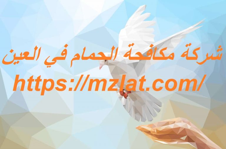 شركة مكافحة الحمام في العين