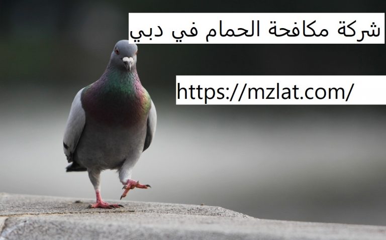 عيادة تنظيف بشرة للرجال