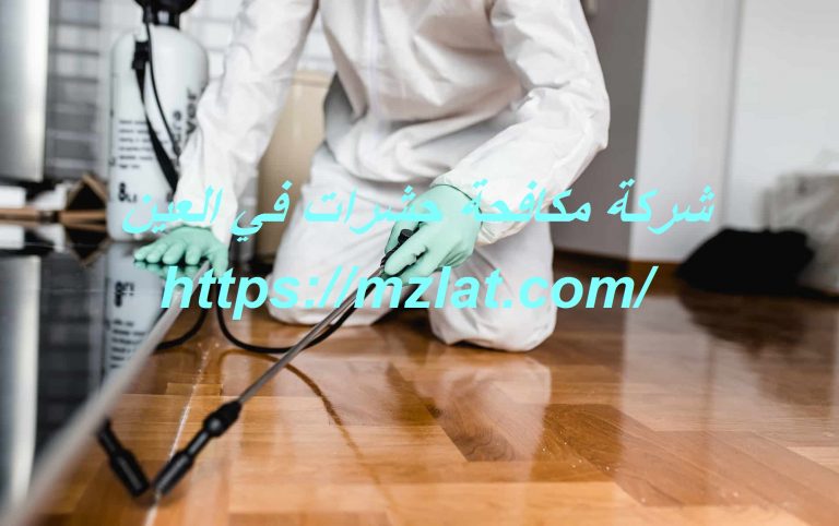 شركة مكافحة حشرات في العين :