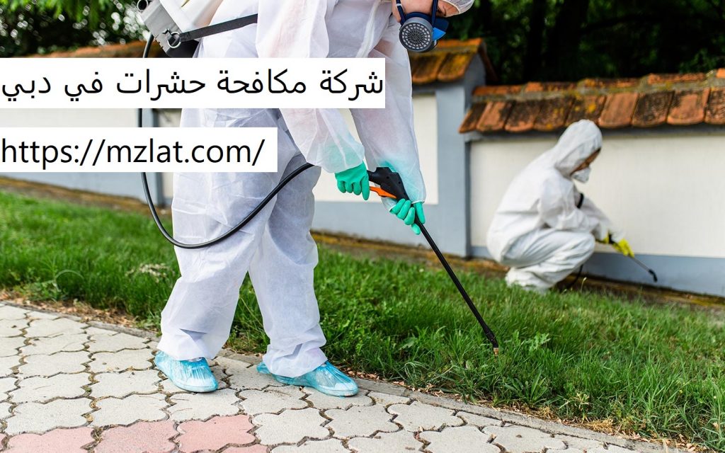 شركة مكافحة حشرات في دبي
