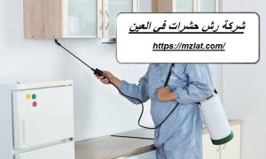 شركة رش حشرات في العين