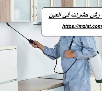 شركة رش حشرات في العين
