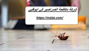شركة مكافحة الصراصير في ابوظبي