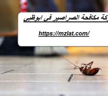 شركة مكافحة الصراصير في ابوظبي