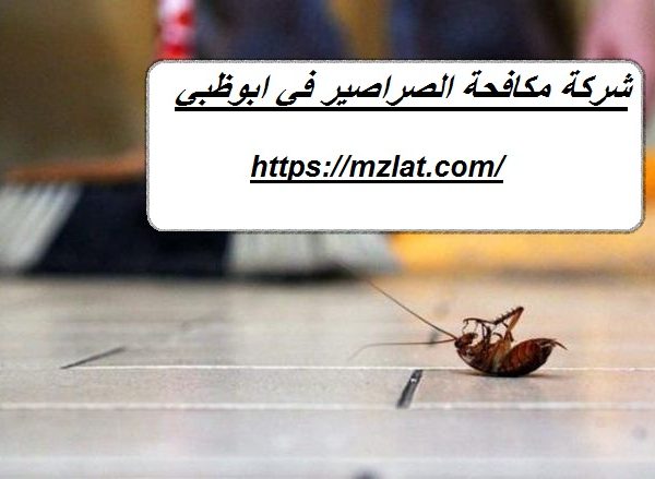 شركة مكافحة الصراصير في ابوظبي