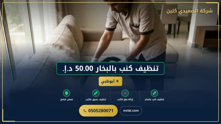 تنظيف كنب بالبخار 50.00 د.إ