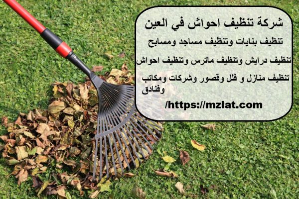 شركة تنظيف احواش في العين