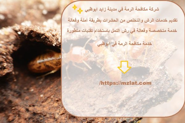 شركة مكافحة الرمة في مدينة زايد ابوظبي