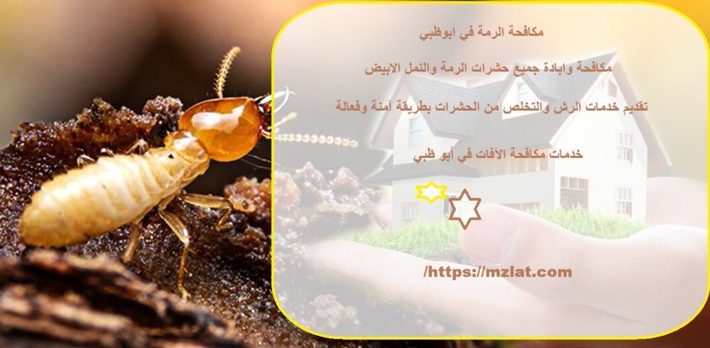 مكافحة الرمة في ابوظبي