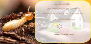 مكافحة الرمة في ابوظبي
