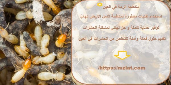 مكافحة الرمة في العين