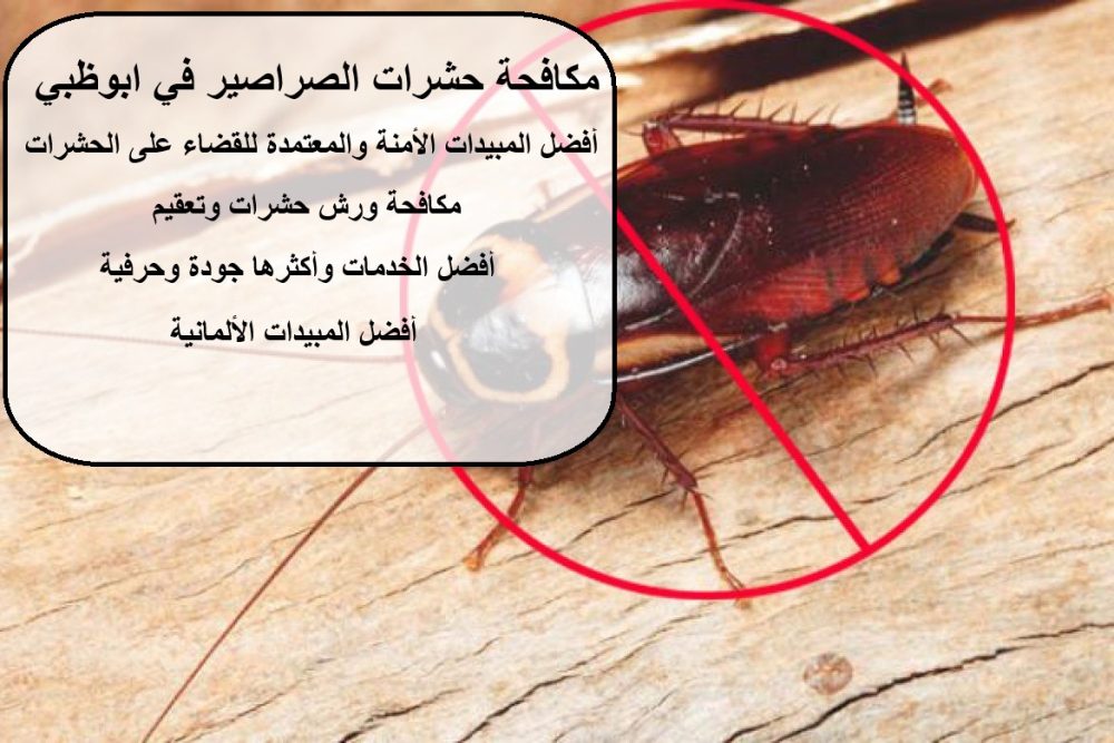 مكافحة حشرات الصراصير في ابوظبي