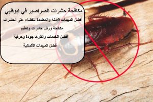 مكافحة حشرات الصراصير في ابوظبي