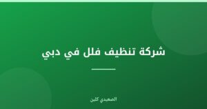 شركة تنظيف فلل في دبي
