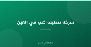 شركة تنظيف كنب في العين