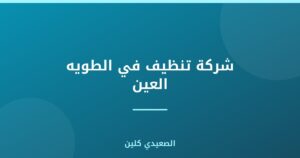 شركة تنظيف في الطويه العين