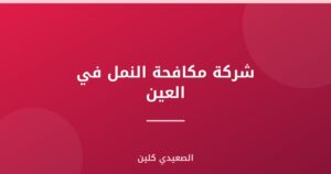 شركة مكافحة النمل في العين :