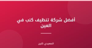 أفضل شركة تنظيف كنب في العين :