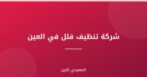 شركة تنظيف فلل في العين