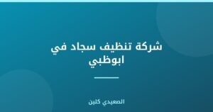شركة تنظيف سجاد في ابوظبي