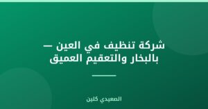 شركة تنظيف في العين — بالبخار والتعقيم العميق