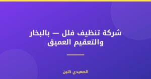 شركة تنظيف فلل — بالبخار والتعقيم العميق
