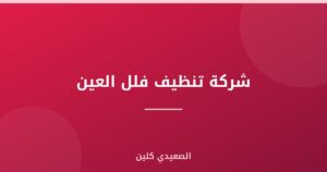 شركة تنظيف فلل العين