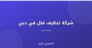 شركة تنظيف فلل في دبي