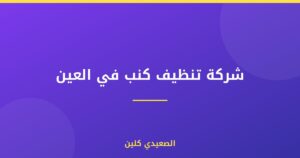 شركة تنظيف كنب في العين