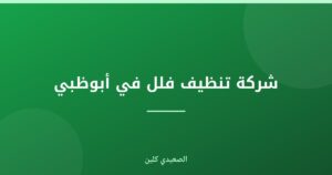 شركة تنظيف فلل في أبوظبي